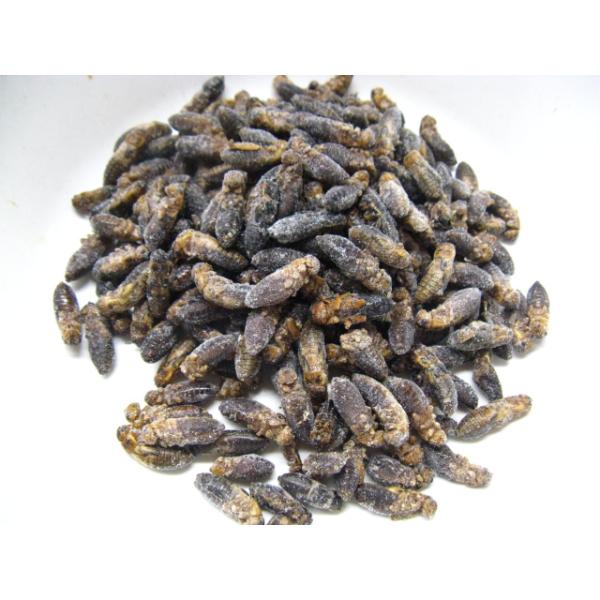 ハムスター、ハリネズミ等の小動物にもおススメです。逃げない、鳴かない、冷凍保存が出来る。死んでいます。蘇生はしません。★こちらの商品は冷凍です。 活きエサ、通常商品と同梱ができません。ご了承ください。※冷凍商品の同梱は可能です。