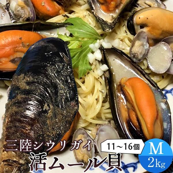 ムール貝 活貝 シウリ貝 M 2kg 11 16個 三陸宮城県産 気仙沼 天然 旬 季節の貝 料理屋 料亭 料理食材 15 Mussel M2 Fish Market 38 通販 Yahoo ショッピング