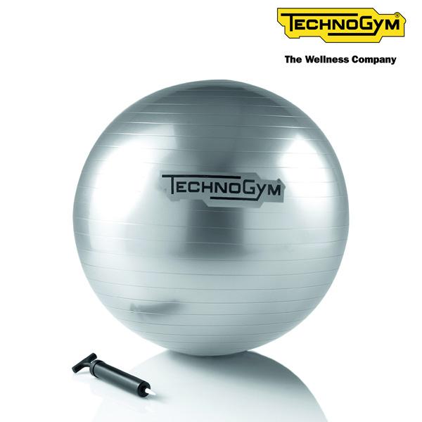 テクノジム バランスボール 55cm WELLNESS BALL メーカー直送品 送料込み価格 Technogym トレーニング フィットネスインテリア