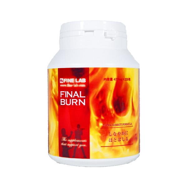 fitnessshop-y_finelab-finalburn