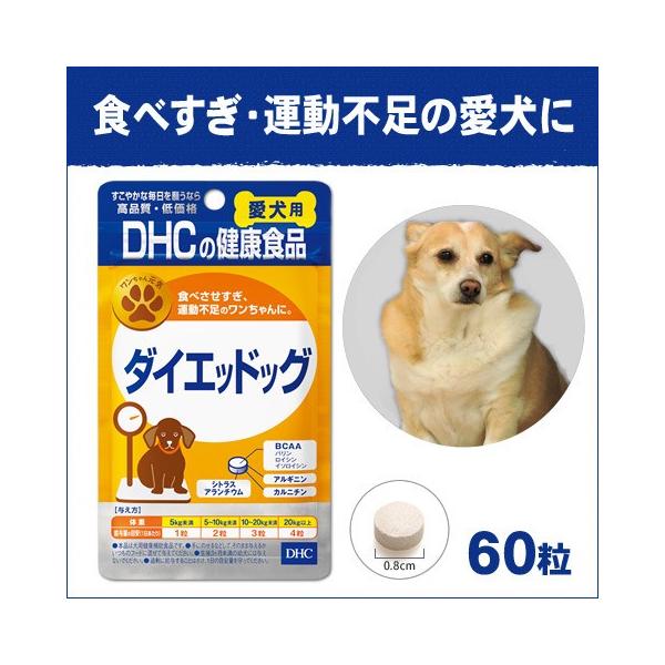 DHC(fB[GC`V[) _CGbhbO 60 p[pTvg]