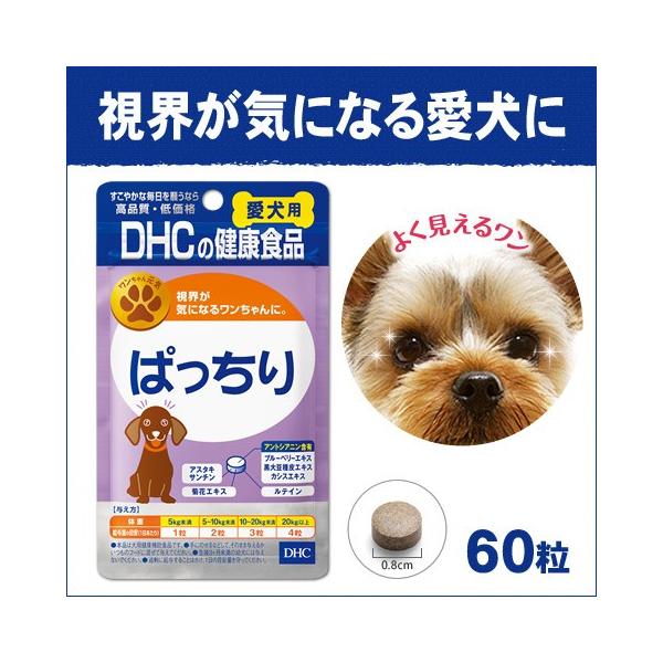 DHC(fB[GC`V[) ς 60 p[pTvg]