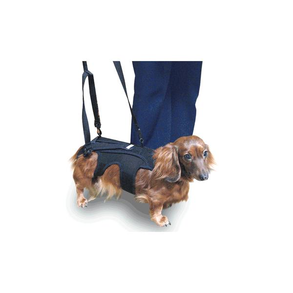 犬用コルセット わんコル 持ち手セット Mサイズ 中型犬用 Buyee Buyee Japanese Proxy Service Buy From Japan Bot Online