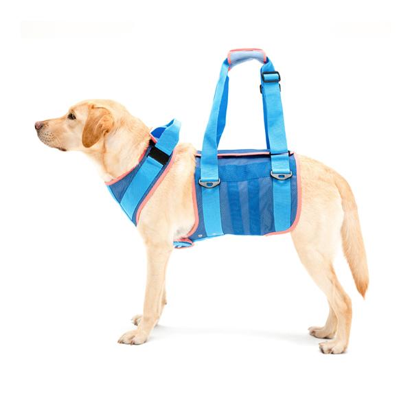 s⏕n[lX LaLaWalk ^p@N[bV[u[] [J[̂ߌ㕥hbgRs