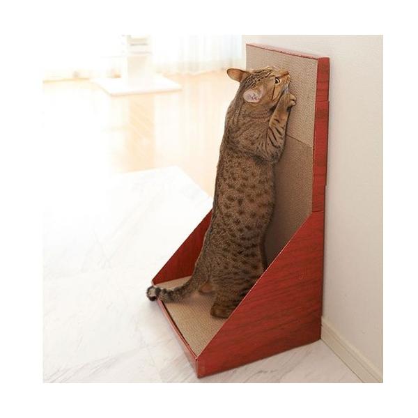 GCNGCc ~[(mju:) KKEH[ XNb`[ ܂ѕt Lp[Lp܂Ƃ]