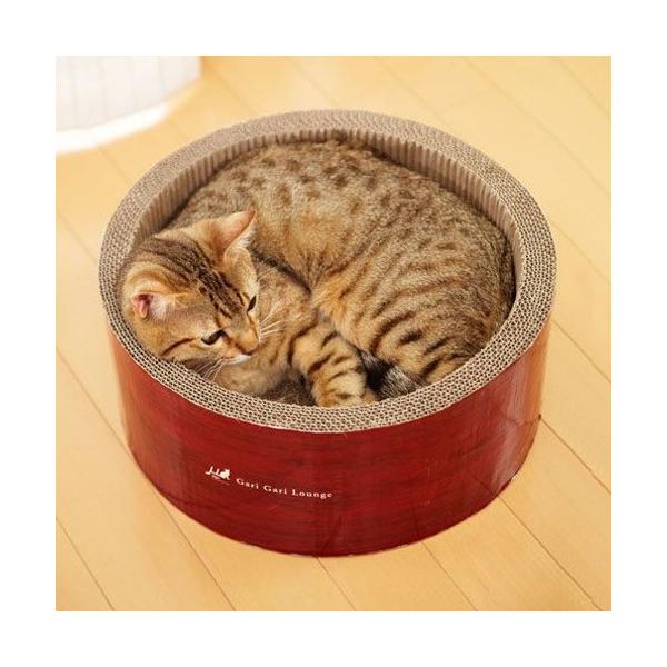 GCNGCc ~[(mju:) KKT[N XNb`[ ܂ѕt Lp߂Ƃ