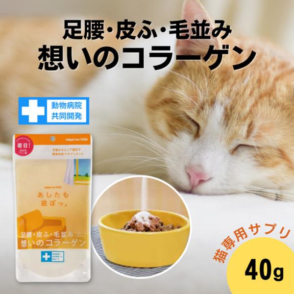 足腰 皮ふ 毛並み コラーゲン 猫用 サプリメント あしたも遊ぼっ。40g ニッピ 非必須アミノ酸 日本産 獣医師共同開発 猫用健康補助食品 5kgの猫約4ヶ月分