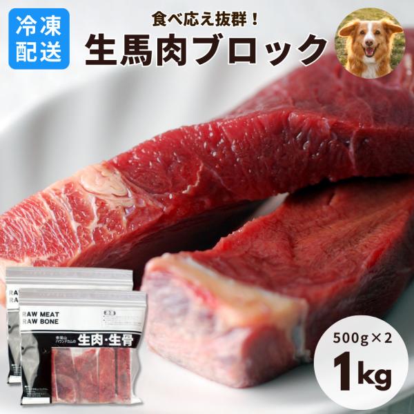犬 生肉 冷凍 馬肉 ブロック 1kg  500g×2