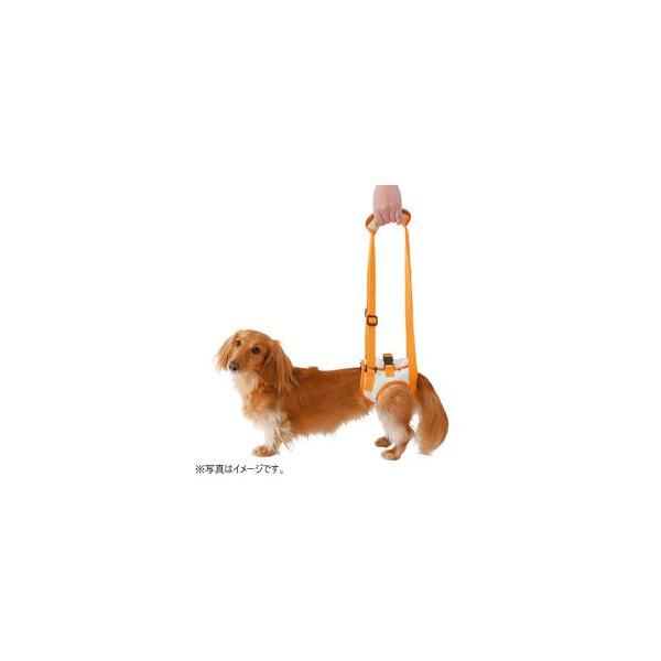 yeBI zuttone Vp@s⏕n[lX@㑫p@li7kg܂ł̏^pj pn[lX