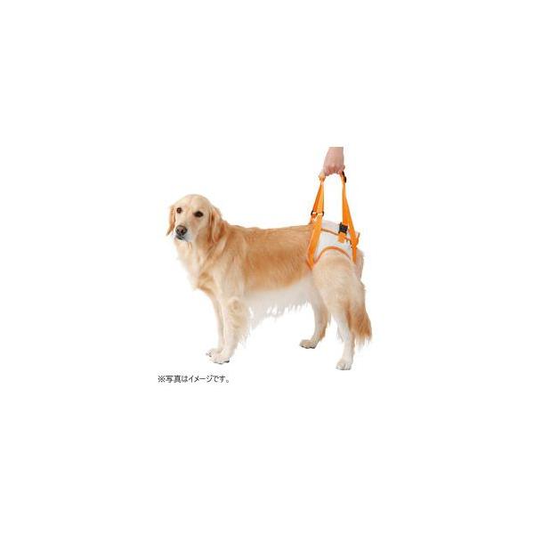 yeBI zuttone Vp@s⏕n[lX@㑫p@Rki30kg܂ł̑^pj pn[lX