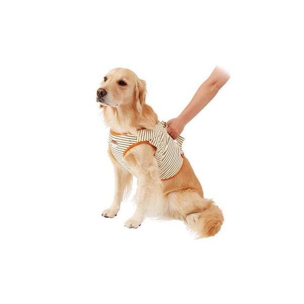 yeBI zuttone@Vp@⏕@\txXg@Rki30kg܂ł̑^pj  ybgppi