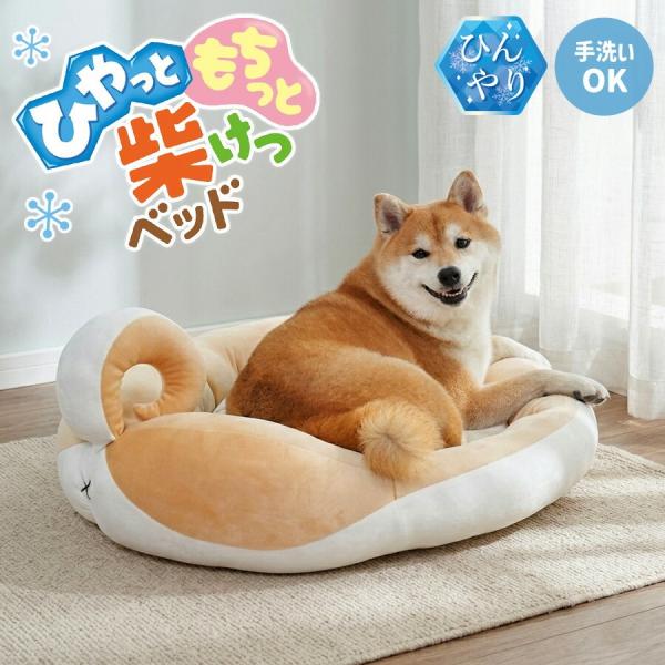ドギーマンハヤシ ひやっともちっと柴けつベッド 犬用 ペットベッド 夏用 ひんやり 冷感 クール 柴犬 もちもち かわいい おもしろ 洗える
