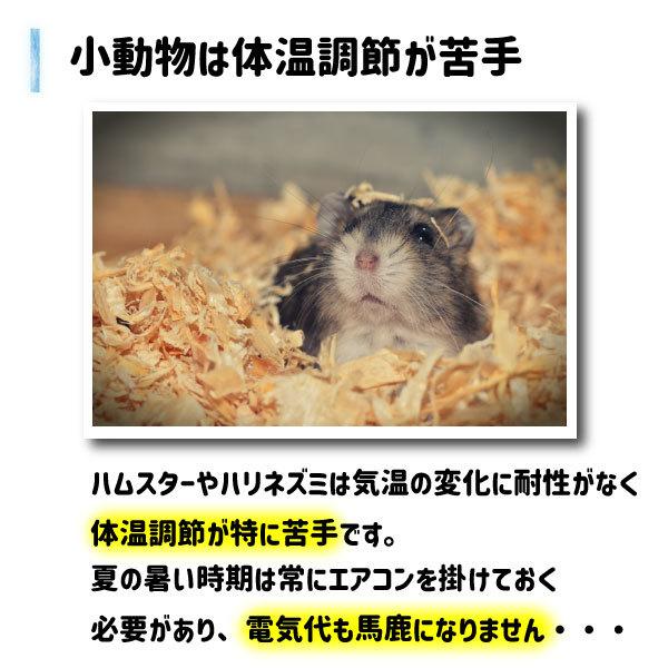 小動物用クールマット ハムスター ハリネズミ 体温調整 アルミプレート 涼感グッズ モルモット うさぎ クールプレート 暑さ対策 夏対策 エアコン代節約 F0217 Fiveストアー 通販 Yahoo ショッピング