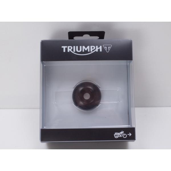 TRIUMPH 純正アクセサリー　アクセルフィニッシャー トライアンフ（マクラーレン） TRIUMPH トライアンフ 純正 リア