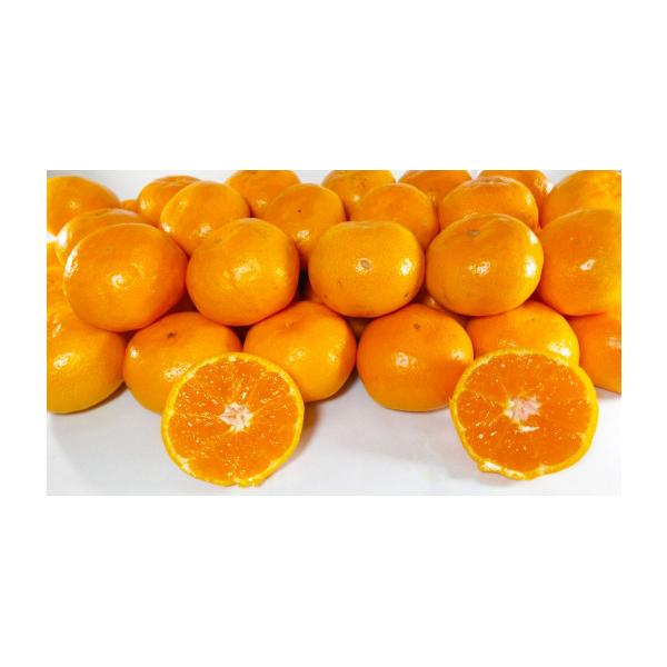 みかん 約3kg 【手選別まごころ選果】秀品 サイズ2L〜2S 熊本県産 60