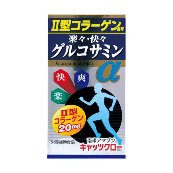 ●グルコサミンは構造的には糖とアミノ酸が結びついた代表的な天然の「アミノ糖」の一種で、ヒトの体では細胞同士や組織同士を結びつける結合組織として、とくに軟骨、腱、爪、皮膚などに広く分布しています。●グルコサミンは年齢と共に身体から失われていく...