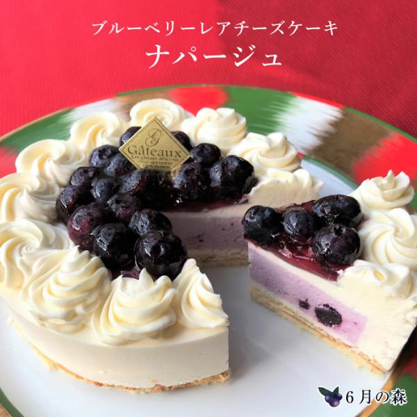 6̐X u[x[t@[ ip[W FN010