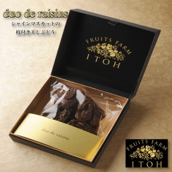 t[ĉƂ duo de raisins YVC}XJbg̎}tԂǂ