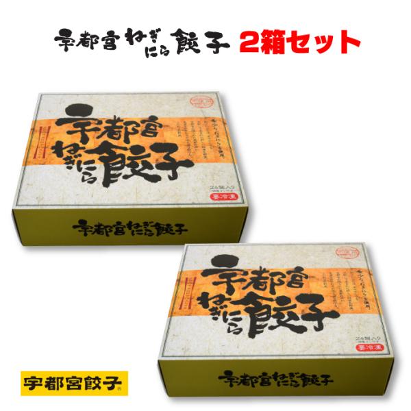 �F�s�{�L�q������X �F�s�{�˂��ɂ��L�q 2���Z�b�g 48�� FN047