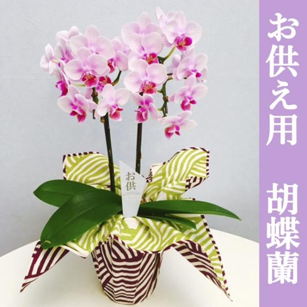   Ӓ MtgyA-324zYn̉ԃMtg ~fBӒ 4 2{ p C~