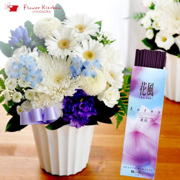  ԂƐ̃Zbg  {̗mԂg{̂܂  rTCYƂuԕ-Lotus @ԁv  FKAA