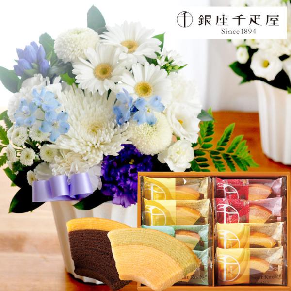  ԂƃXC[c {̂܂STCY  yDzt[cN[w8Zbg    ފ ~ r  FKAA