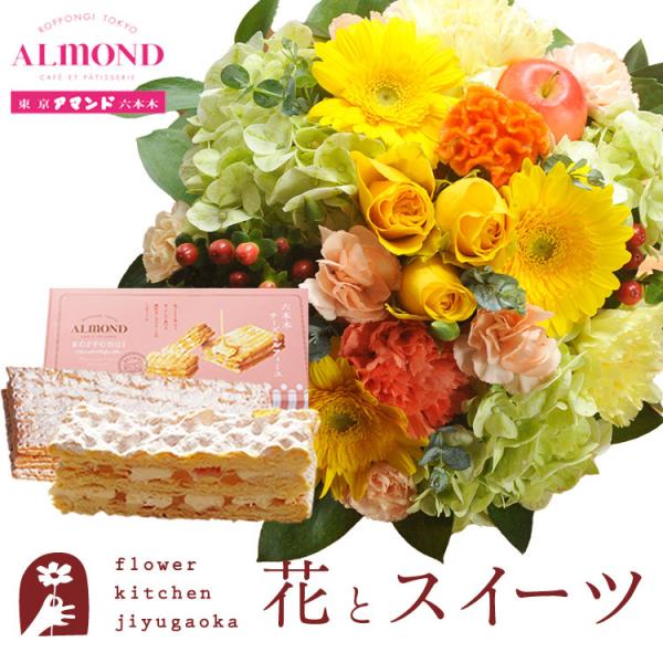 ԂƃXC[c̃Zbg EhAWuCG[v+uA}hv`[Y~tB[Zbg@FKAASW