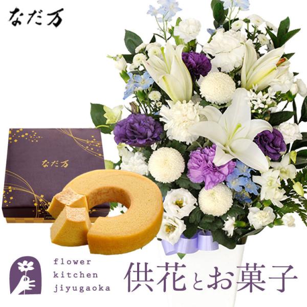 ԂƃXC[c mԂg{̂܂  LTCY+ȂďC aO~oEN[w@FKAASW