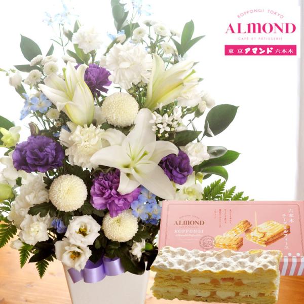 ԂƃXC[c mԂg{̂܂  LTCY{ Z{؃A}hu`[Y~tB[v     FKAA