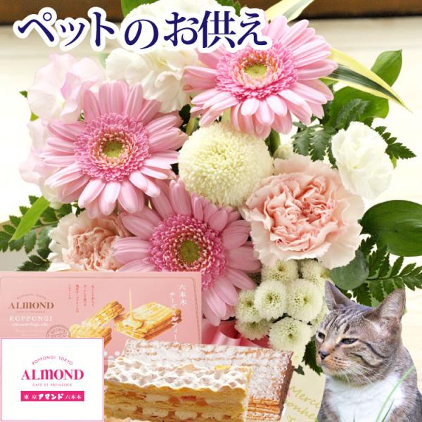 ԂƃXC[c̃Zbg ybgAW{Z{؃A}hu`[Y~tB[vZbg    FKAA