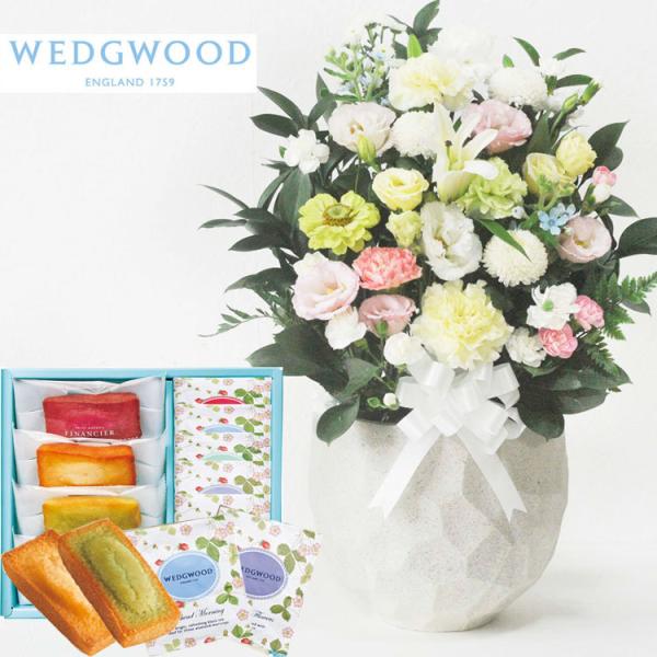 ԂƃXC[c@mԂg{̂܂ ԁufԃAWv+tBiVFyEFbWEbhzeB[obOZbg WEDGWOOD@FKAASW