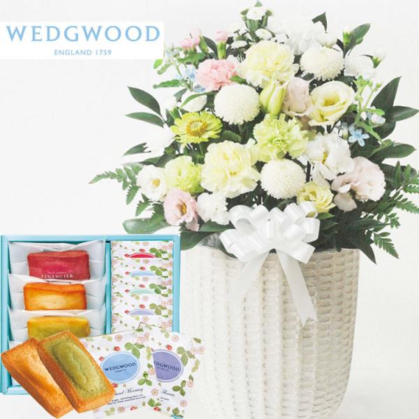 ԂƃXC[c@mԂg{̂܂ ԁuAWv+tBiVFyEFbWEbhzeB[obOZbg WEDGWOOD@FKAASW