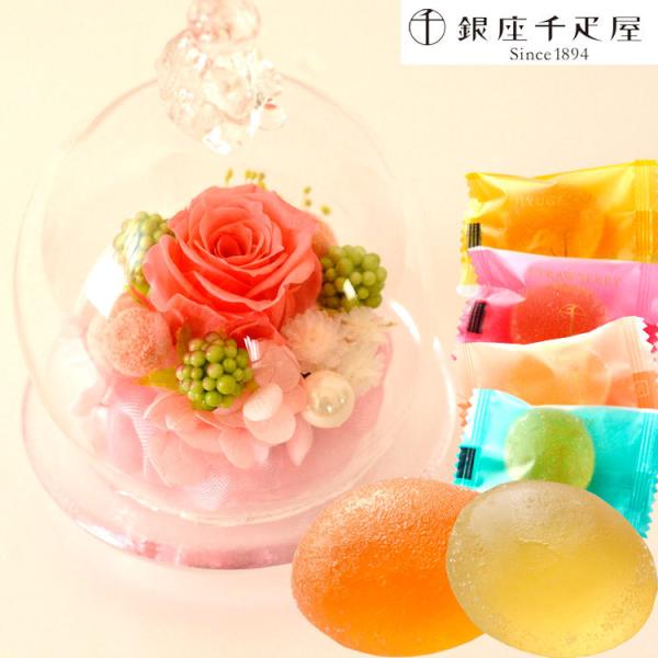 花 ゼリー Diy 工具の人気商品 通販 価格比較 価格 Com