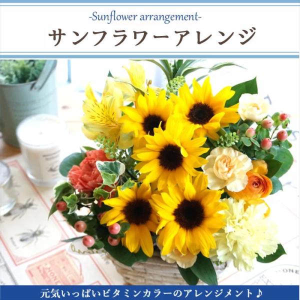 60 Off 夏のご挨拶 お祝い ひまわりと季節の花のアレンジメント 生花 ギフト 夏 サマーギフト ヒマワリ 向日葵 誕生日 結婚記念日 お見舞い お中元 3lサイズ ひまわり50本と季節の花のアレンジメント Cougaropen Com