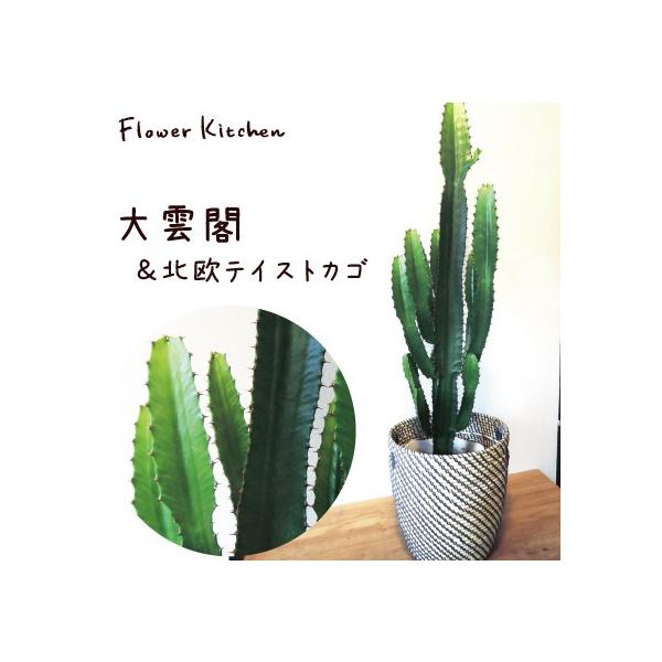 _t 7@IKEAkJS@ϗtA@@O[@  FKTK