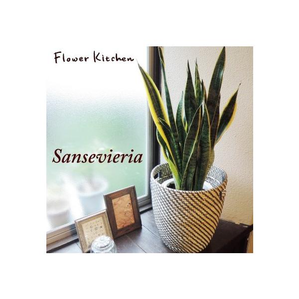 TZxA 7 { IKEAkJS@[OR@ ϗtA@@O[@  FKTK