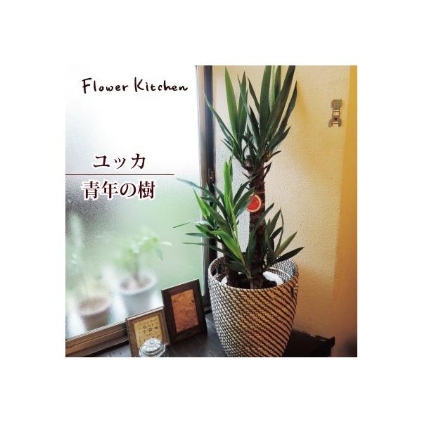 bJ@N̎@AM@7@IKEAkJSt@[OR@ϗtA@@ ̃O[Mtg FKTK