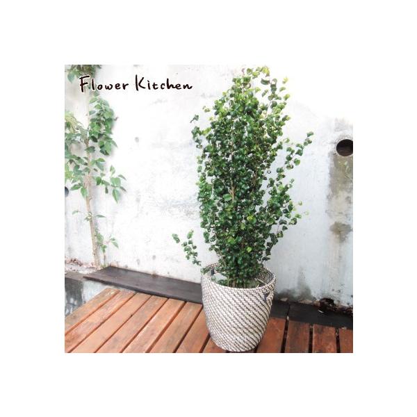 ϗtA xW~ obN7{IKEAkJS@@O[ Mtg v[g@  FKTK