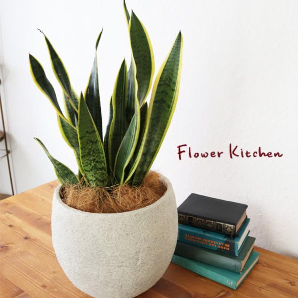 TXxA 6 CmKjbN{E zCg V@ہE󂯎Mt@GF3297