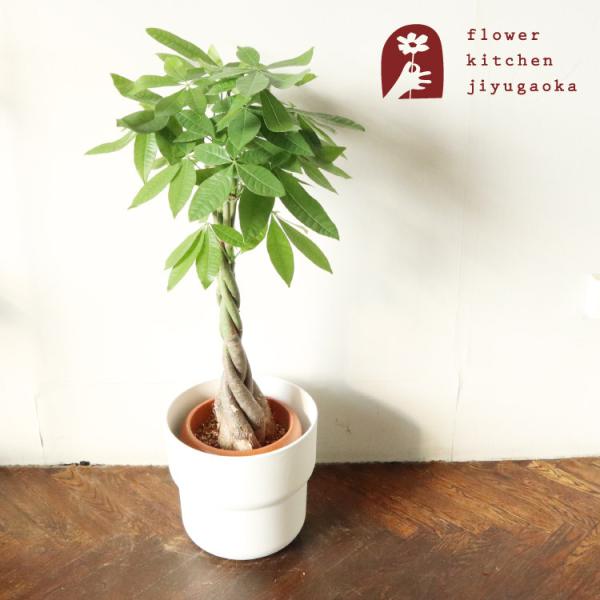 ϗt pL 7 + IKEA tH[O Jo[@FKTK