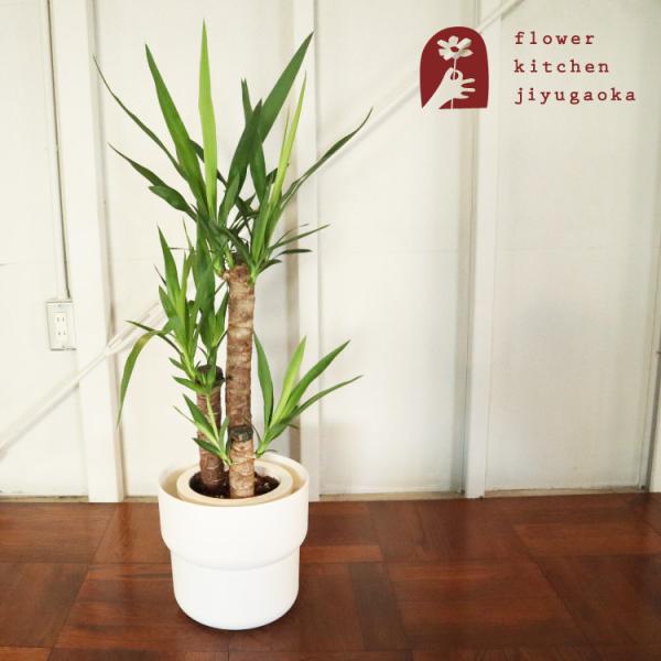 ϗt bJ 7 + IKEA tH[O Jo[@FKTK