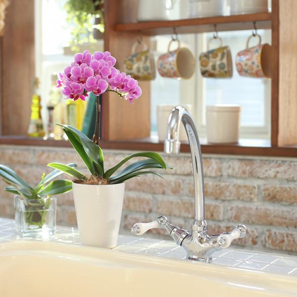 Ӓ Mtg@Yn̉ԃMtgyA-96zy~fBӒ 1{ 4z Ŗm̌Ӓ@Ă₷ Ԕ