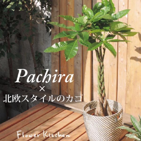 pL7{kX^C̃JSt@IKEAJSzCgO[҂݃JS [OR  ̃O[Mtg