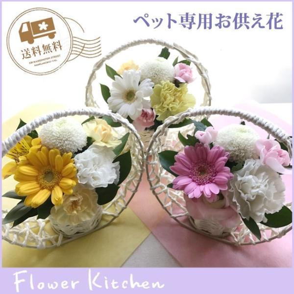 ybĝSTCY@ãybgAWg@ ̂  FKAA