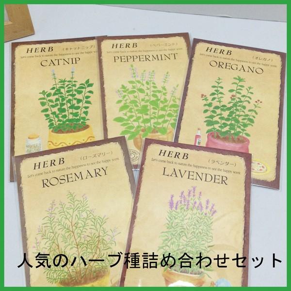 送料無料 人気ハーブの種 詰め合わせセット メール便発送 Buyee Buyee Japanese Proxy Service Buy From Japan Bot Online
