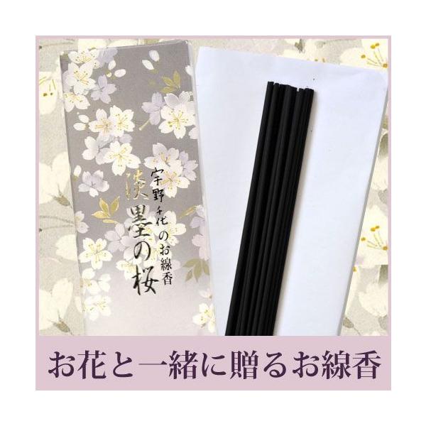 PiwsZbgŵ݁@{@Mtg@F@Wn̍@X}[gTCY yvXpiz