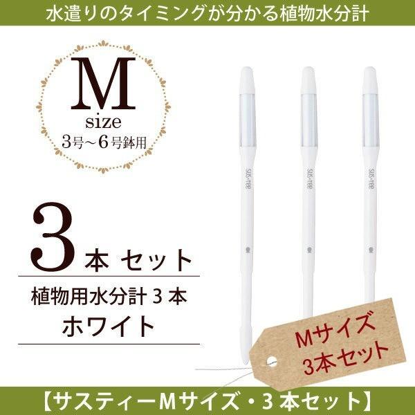 Lrm`F@Apv TXeB[ MTCYE{3{ZbgzCg@lR|X