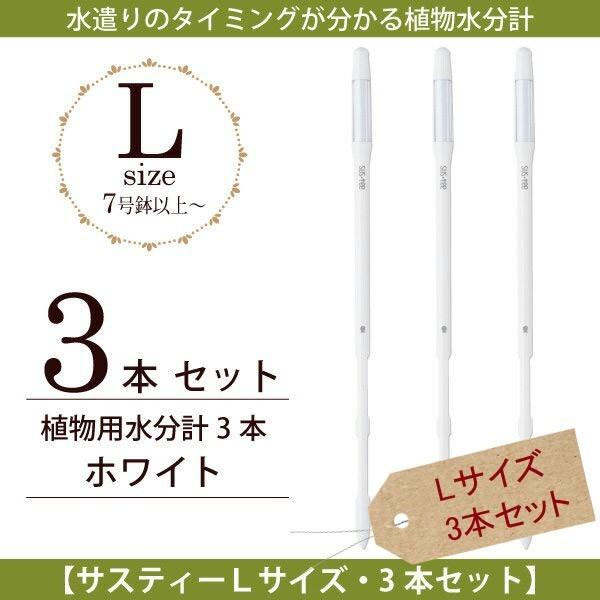 Lrm`F@Apv TXeB[LTCYE{3{ZbgzCg@lR|X