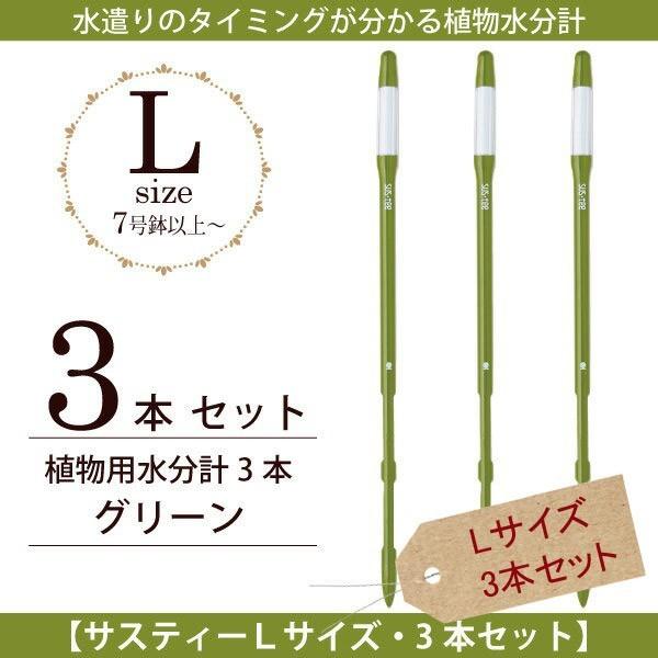 Lrm`F@ Apv TXeB[LTCYE{3{ZbgO[@lR|X