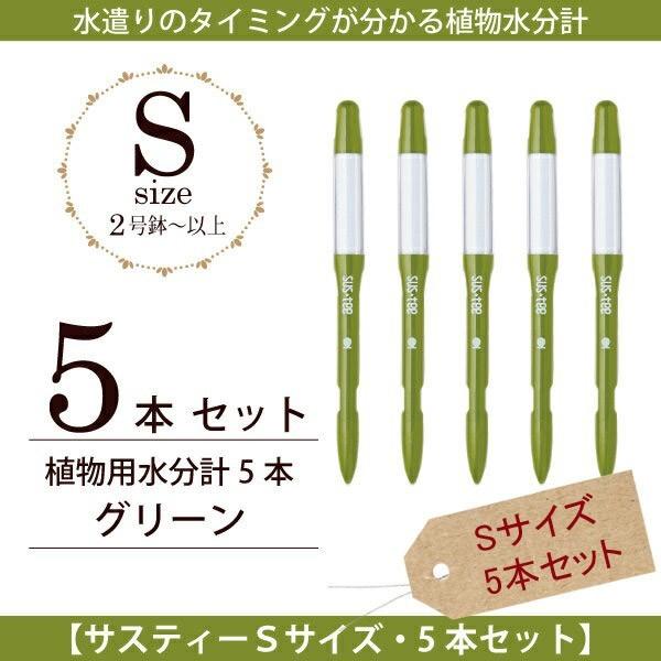 Lrm`F@ Apv TXeB[STCYE{5{ZbgO[@lR|X